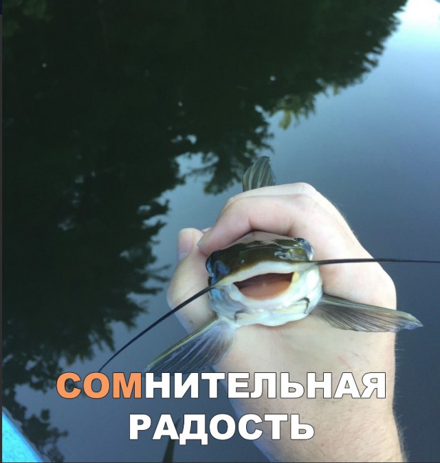 Прикольные картинки абавсём