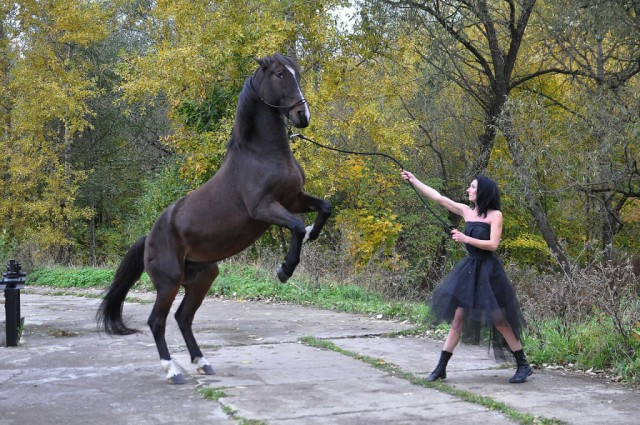 Живность из сети