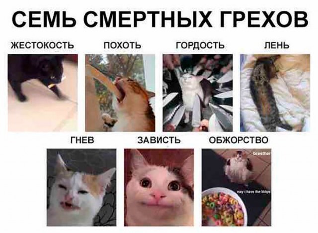 Немного картинок для настроения