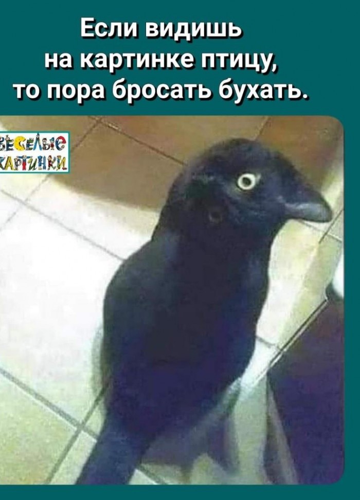 Даёшь картинкой по понедельнику