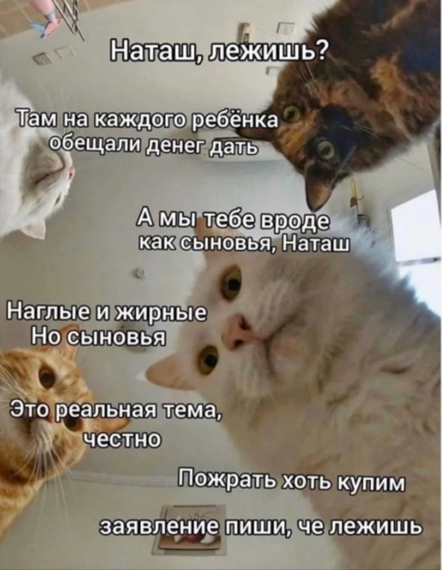 50 так себе картинок 27.05.20