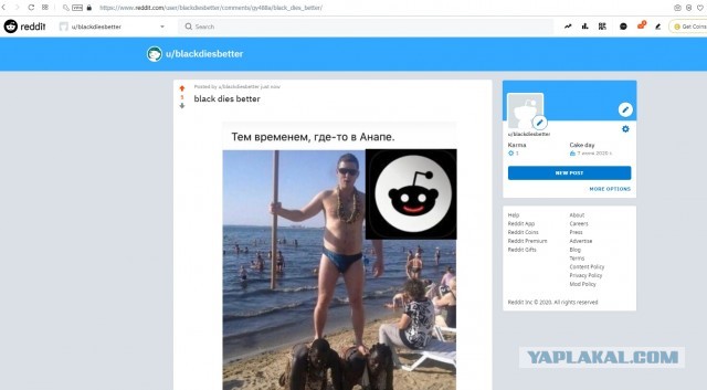 Вот бы эта фотка завирусилась, я бы почитал срач