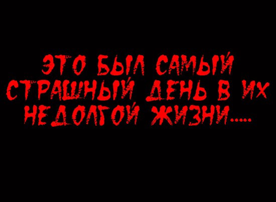 кот Матроскин и счёт за интернет