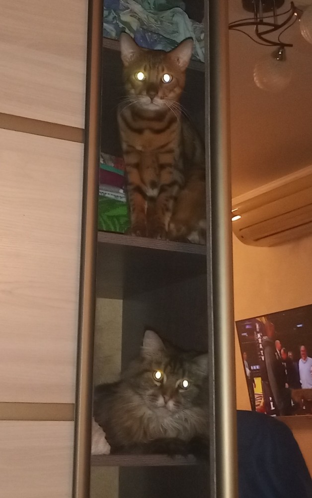 Моя красотка