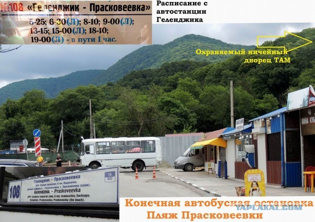 Возможен резкий рывок! Туроператоры предупредили о росте цен на российских курортах из-за закрытых границ.