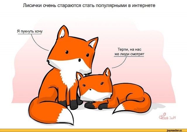 Лисички, картинки