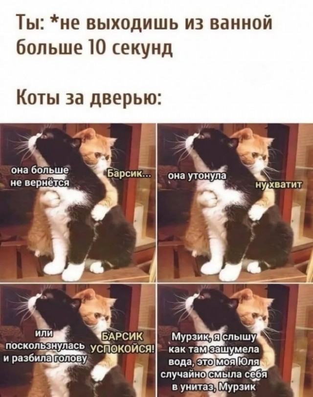 Картинки и мемы для настроения 17.06.2021