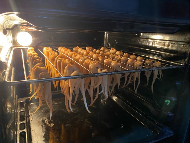 Ловля кракена