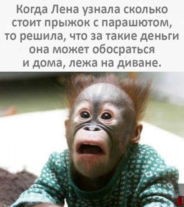 Кретинизмы из сети 13.08.2021