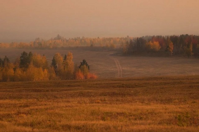 Осенние поля