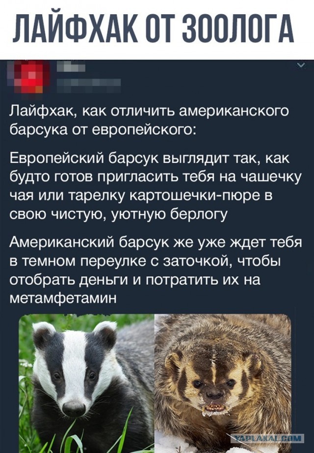 Когда родители выгоняют тебя из дома во взрослую жизнь