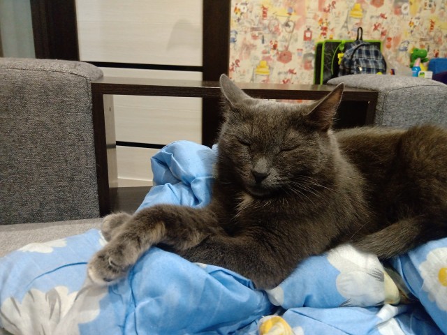 Одного фото пост
