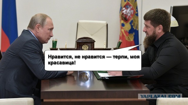 Зеленский прокомментировал фразу Путина «нравится — не нравится, терпи, моя красавица»