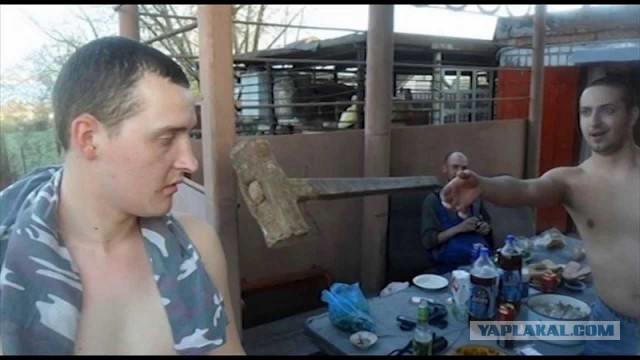 Забавные фотографии, сделанные в нужный момент
