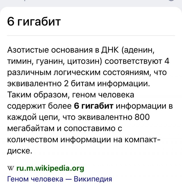Забавные комментарии из социальных сетей (25.10.22)