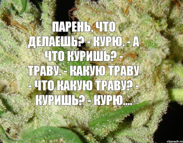 Прикольные и просто красивые картинки 29.11.2022