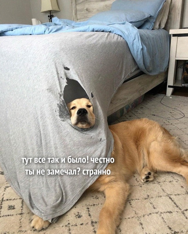 Немного картинок для настроения