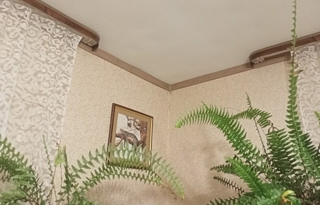 Ламинат на стены и потолок