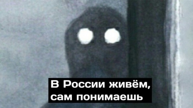 Отдел полиции Петербурга и пояснения о краже телефона
