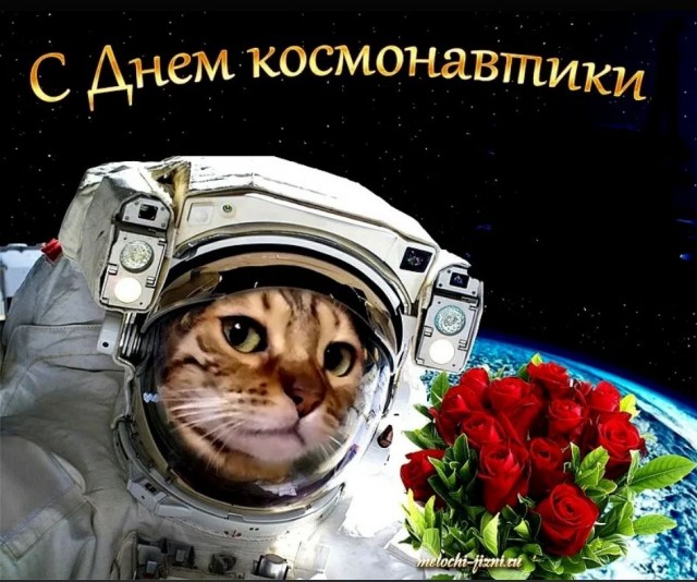 Победная поступь идиотизма по планете – том 12