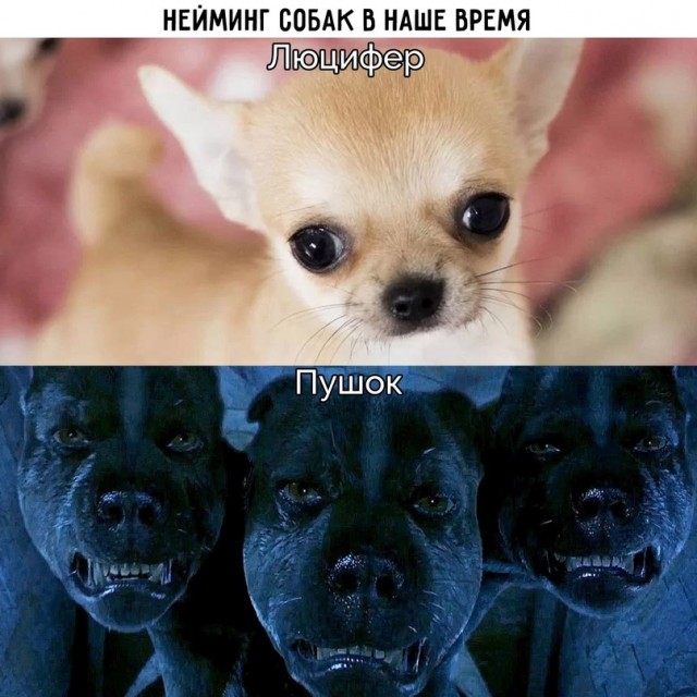 Весёлый полтишок 16.04.23