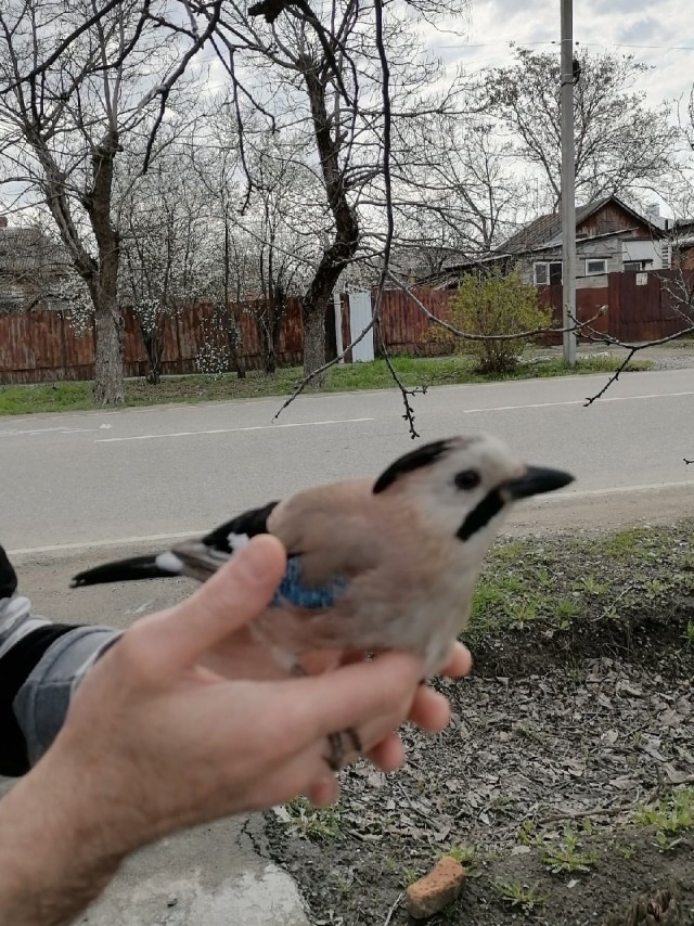 Здравствуйте, огонька не найдется?
