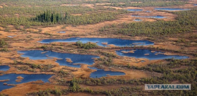 Сибирские перекрёстки