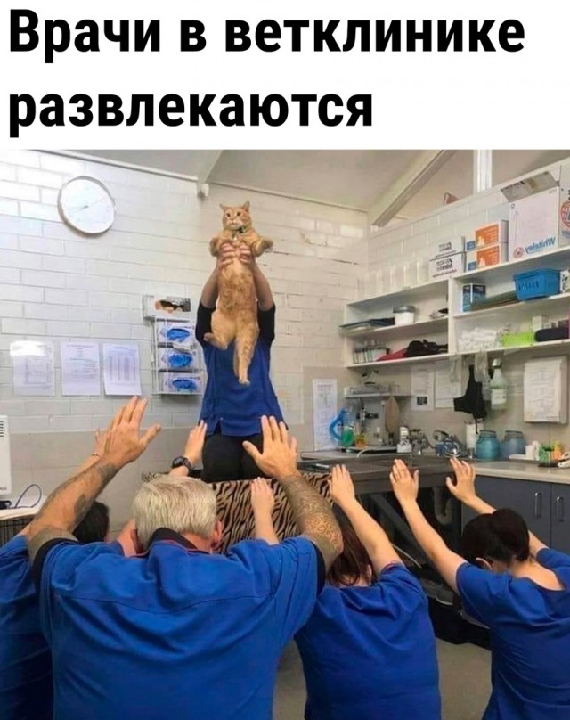 Так себе картинки 14.05.23
