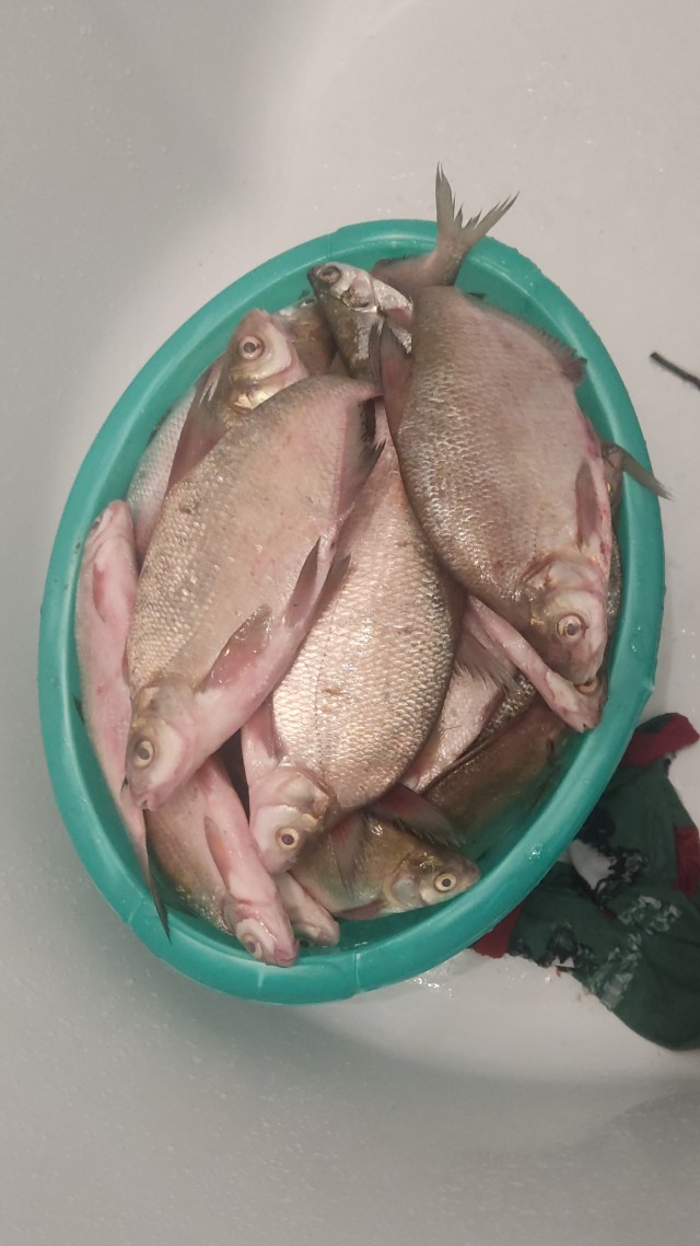 Рыбалка