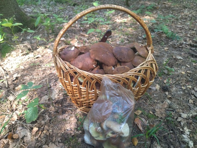 Литературная беседка