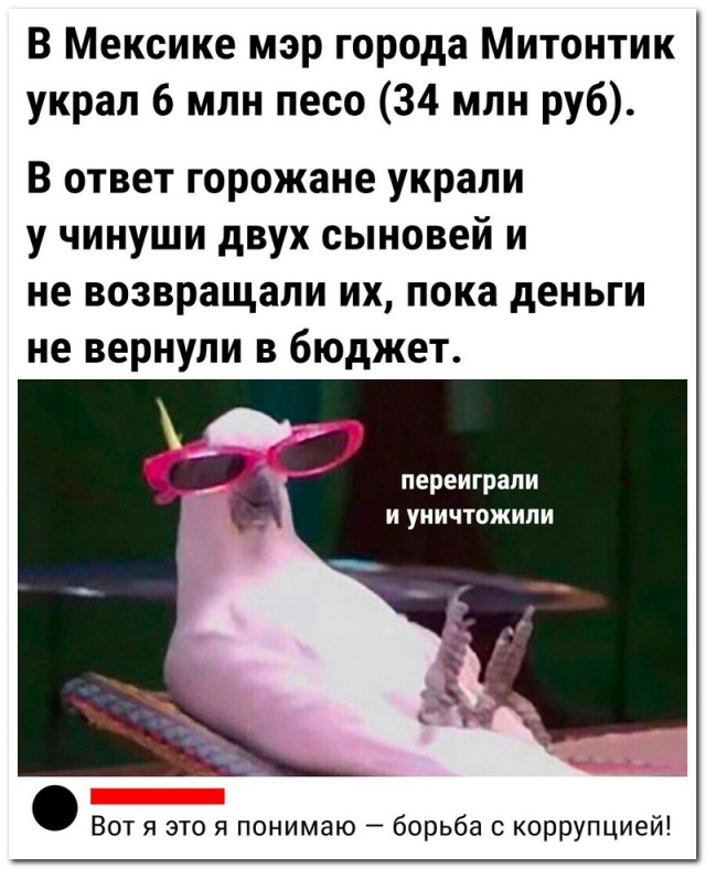 Забавные комментарии из социальных сетей (11.09.23)