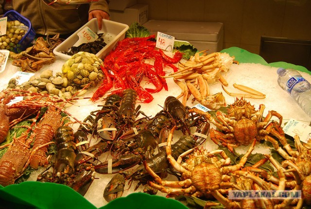 Рынок Бокерия