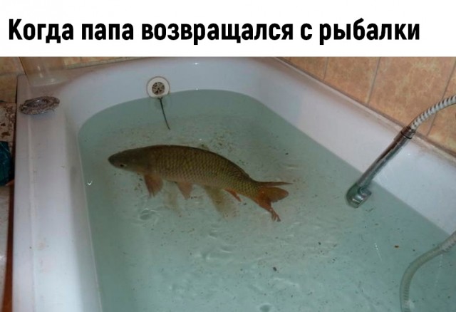 Какие добрые моменты вспомните?