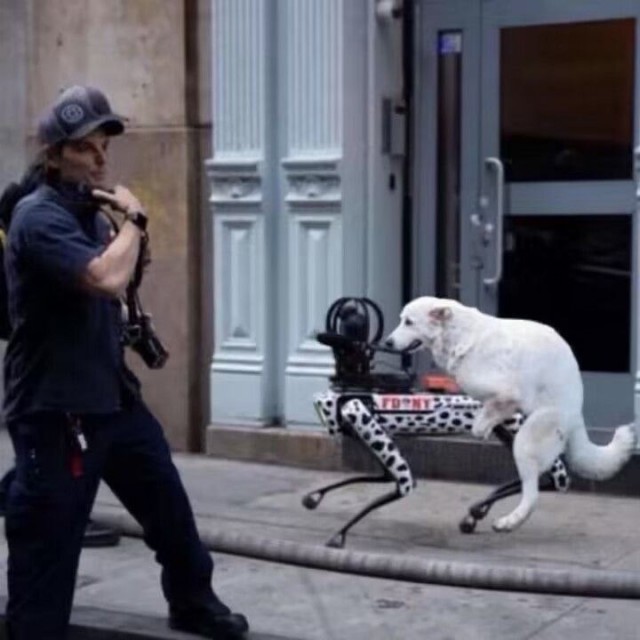 Да что ты такое?!
