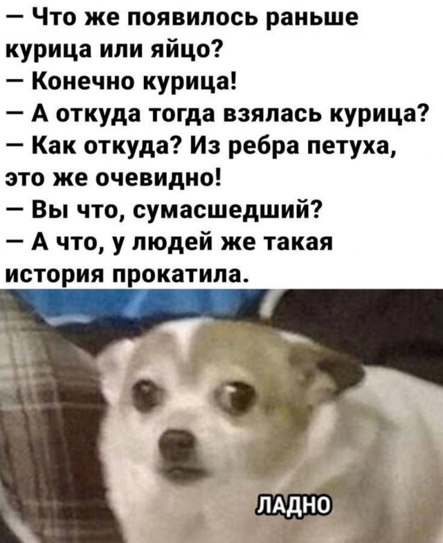 Забавные картинки, шутки из этих ваших интернетов