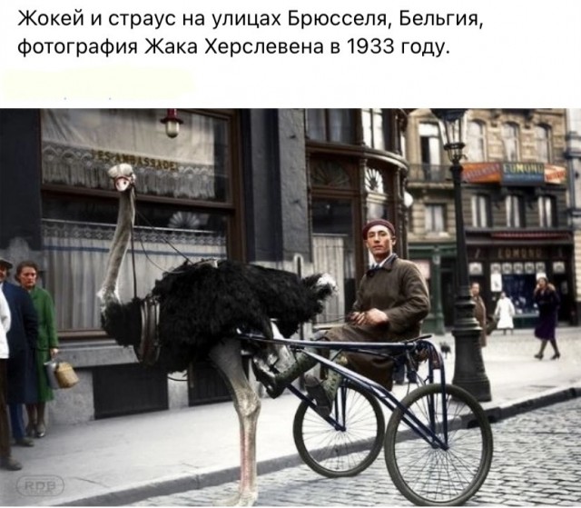 Люди и лица. 10.03.24