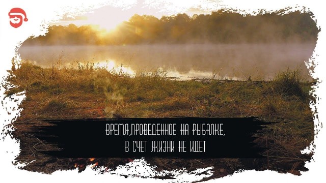 А говорили к земле привыкают...