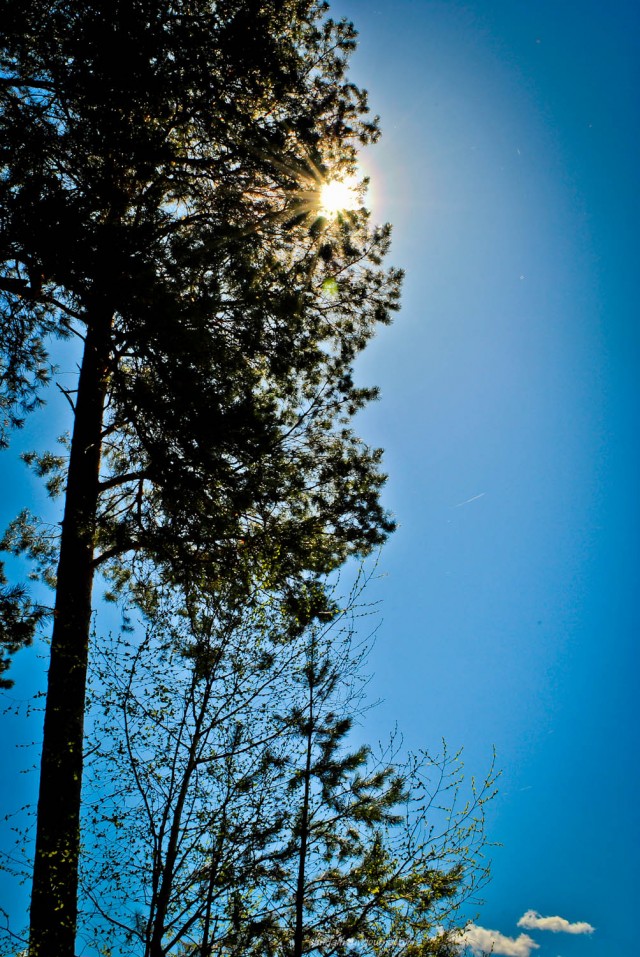 Отчет о Рыбалке