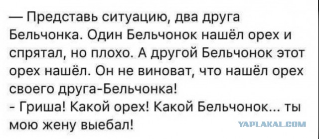 Завалялось тут случайно немного забавных картинок