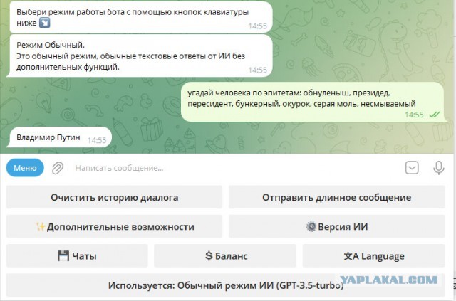 Гости съезжаются на инаугурацию президента Владимира Путина в Кремль