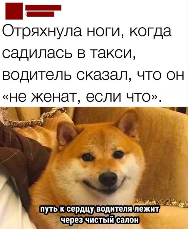 Завалялось тут случайно немного забавных картинок