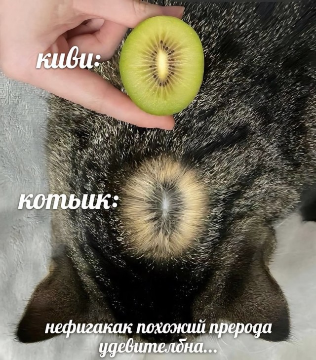 Так себе картинки 28.05.24