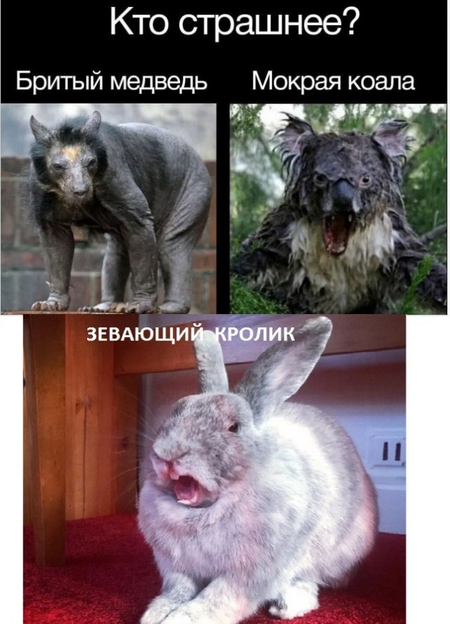 Завалялось тут случайно немного забавных картинок