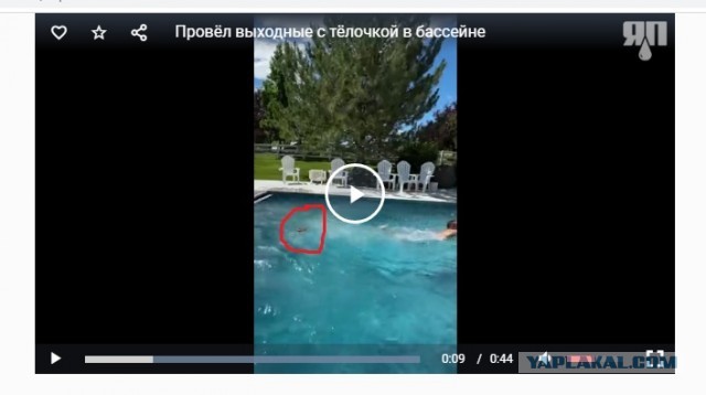 Провёл выходные с тёлочкой в бассейне
