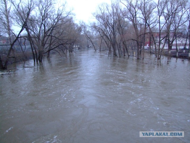 Рыбалка в ближайшем подмосковье