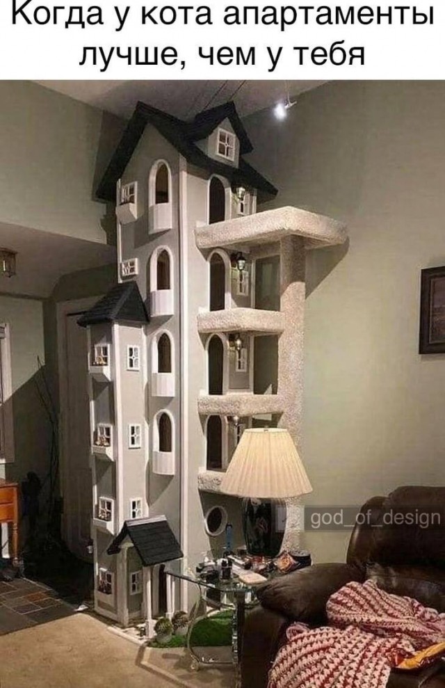 К КотоВторнику КотоДомик