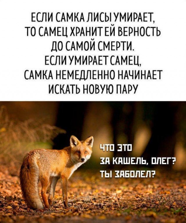 Картинки 26.08.25