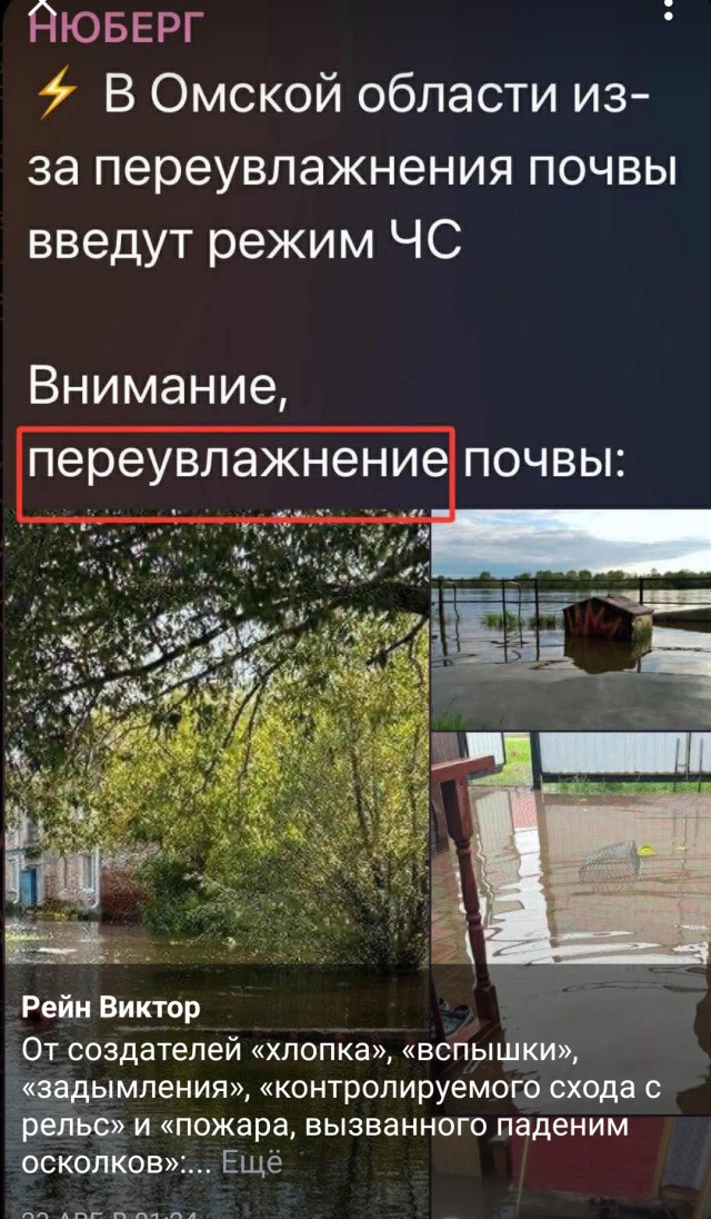 Так себе картинки 28.08.25