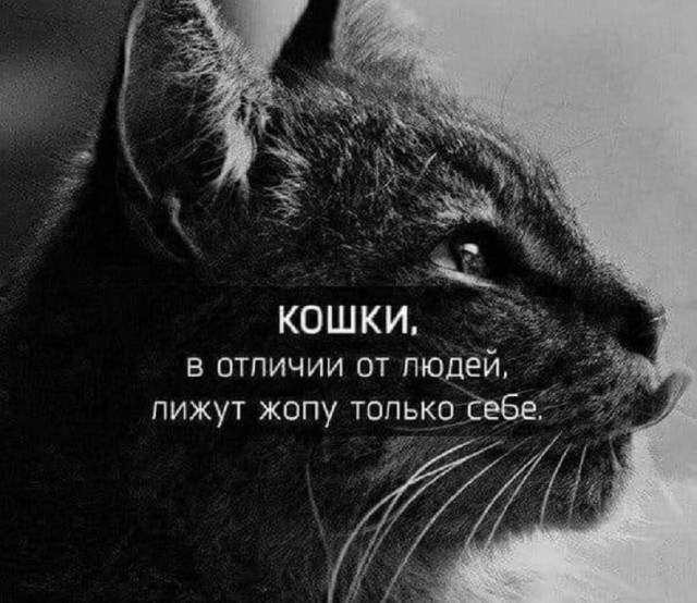 Картинки разные с надписями и без