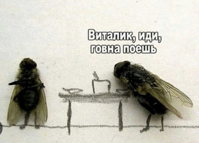Муха опасная тварь!